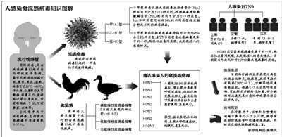 公众如何预防H7N9流感