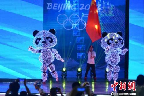 韩国平昌冬奥会两只“熊猫队长”返川。　张浪 摄