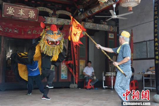 中国侨网台湾义虎团团长伍炳崑（右）在表演“弄虎”。　龚雯　摄