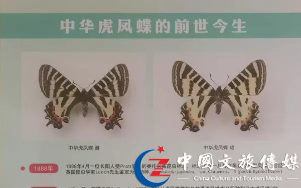 未标题-1.jpg